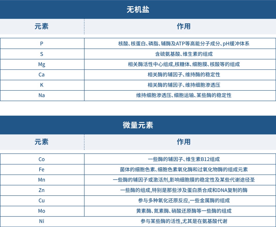 微信图片_20241015153912