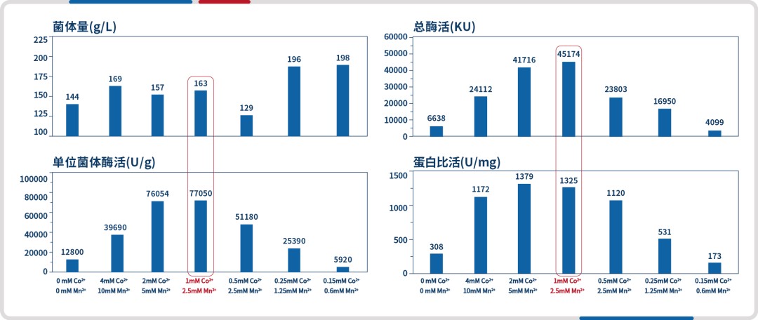 微信图片_20241015153915