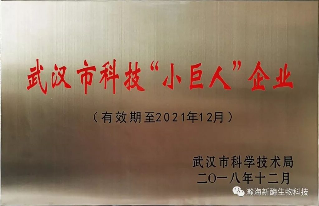 热烈祝贺我司连续获得武汉市科技“小巨人”企业和武汉东湖新技术开发区“瞪羚企业”称号插图