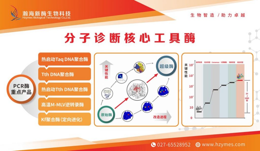 生物智造，助力卓越–武汉瀚海新酶闪耀第十六届CACLP博览会插图5