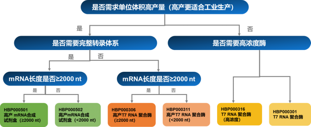 TIDES展会产品推荐 | mRNA药物完整解决方案插图4